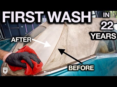 Most Disgusting Car Ever! Pontiac Lemans 350 First Wash in 22 Years