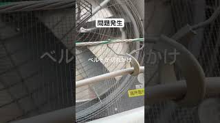 就農して2ヶ月いきなり問題発生#いちご #農業 #農協