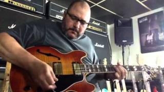 Video thumbnail for Gibson ES 346 by Gordon Hammond