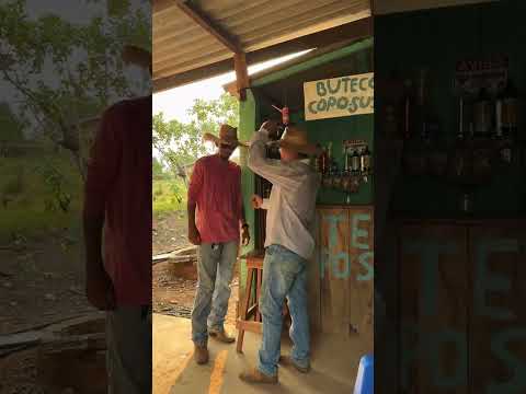 Lagartixa chegou chegando no boteco #humor