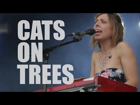 Cats On Trees - Sirens call
