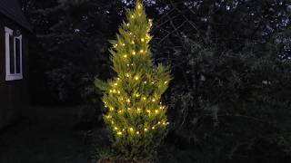 Solar Powered Fairy Lights
