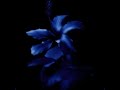 Devkota Figured You Out Super Slowed Reverb
