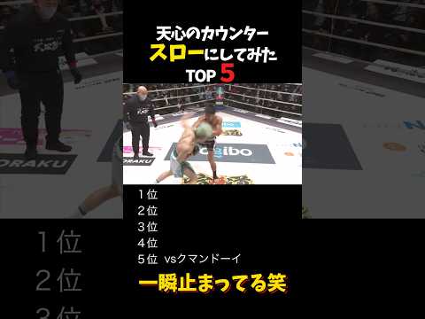 天心のカウンタースローにしてみた TOP５ #shorts #格闘技 #k1 #rizin #breakingdown