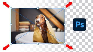 How To Resize Layers In Photoshop (Without Losing Quality)