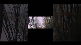 【#藍二乗】【#ヨルシカ】【#shorts】【#永久機関】  #藍二乗  #前世 #ヨルシカプロフよりYouTube fullへ飛べます！ #初音ミク #anime #hatsunemiku