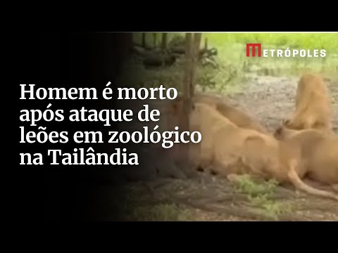 Homem é morto após ataque de leões em zoológico na Tailândia