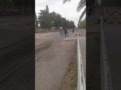 TREN 2501 VINIENDO DE PLOTTIER A NEUQUEN