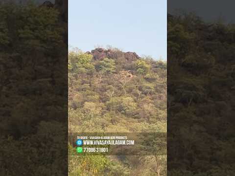 ரெண்டு நாளாக அவனை காணோம் ☺️