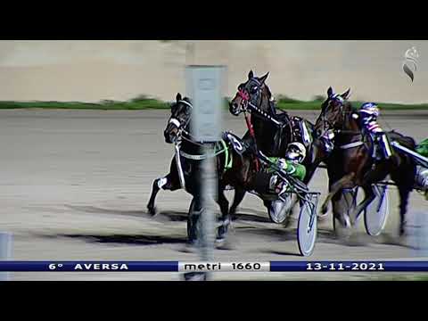 Aversa trotto 13 Novembre 2021 - 5° Corsa