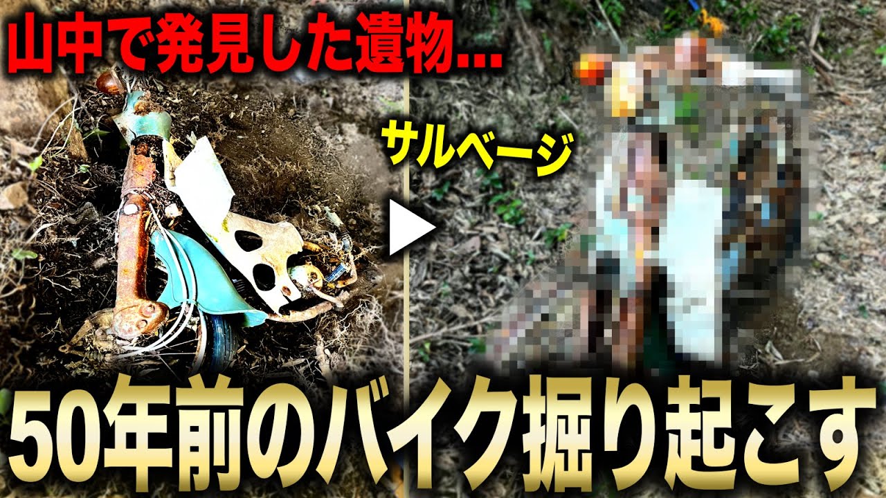 【お宝？】土に埋まり根っこにまきつかれたバイクを発見‼︎ 道具を駆使して掘り起こす‼︎