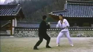 Jung Kook Hyun Taekwondo (From the movie Taekwon F