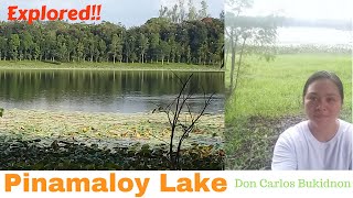 preview picture of video 'Pinamaloy Lake of Don Carlos, Bukidnon'