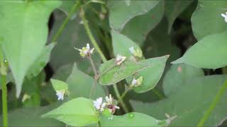 ポー川史跡自然公園を散策しました