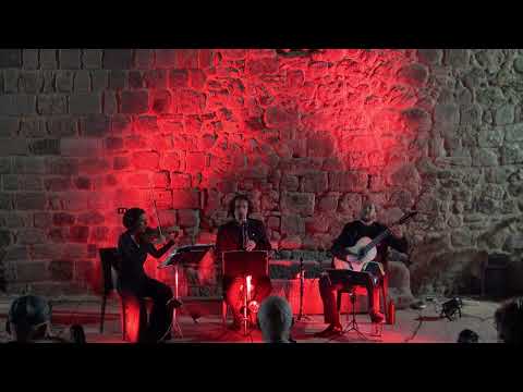 Frank Zappa -  Holiday in Berlin (Dzamati Trio)