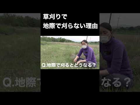 なぜ3月に草刈りをしないのか？冬が終わってから初めて行うのはいつですか？少し待ってからの3つのメリット！  庭園