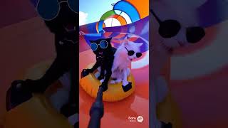 slider cat  #sora2 #aivideo #shorts