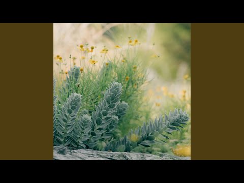 Mula Macenning Cappa' Makessing