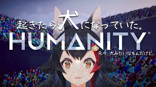 【HUMANITY】犬になって世界を統率する。【 ホロライブ / 大神ミオ 】