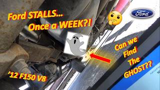 Ford STALLS...Once a WEEK?! (Can we Find the GHOST?? '12 F150 V8)