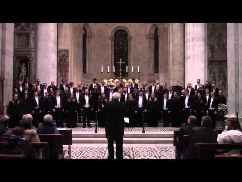 Angele Dei - Susan Labarr