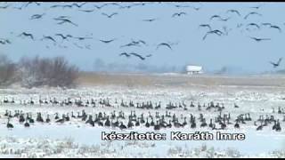 HÍREK A TERMÉSZETBŐL