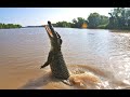 Animal Nature Documentary Australian Saltwater Crocodile Wild Planet HD