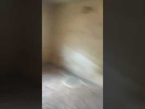 2-Bedroom Flat (Upstairs) – Iyana Ejigbo, Lagos