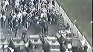N.Ireland riot-Public disorder