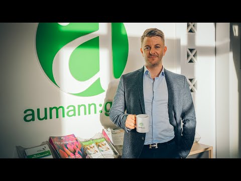 Ordnung und Struktur in einem Unternehmen