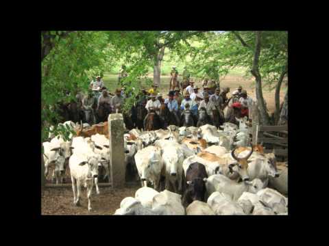 pergamino de recuerdo