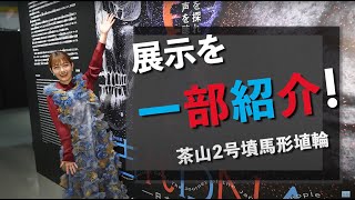 特別展「古代ＤＮＡ―日本人のきた道―」展覧会公式サポーター・井上咲楽さん おすすめの展示品紹介＜茶山2号墳馬形埴輪＞