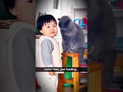 Gatos🐈 Y niños👶 Traviesos🤣#gatos #cat #niños #humor #funny #viral #parati