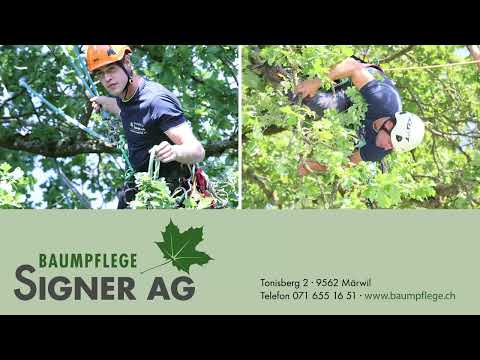 Baumpflege Signer AG