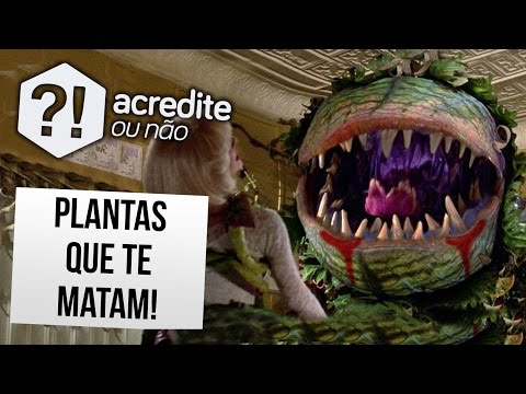 PLANTAS ASSUSTADORAS QUE VOCÊ DEVERIA TER MEDO