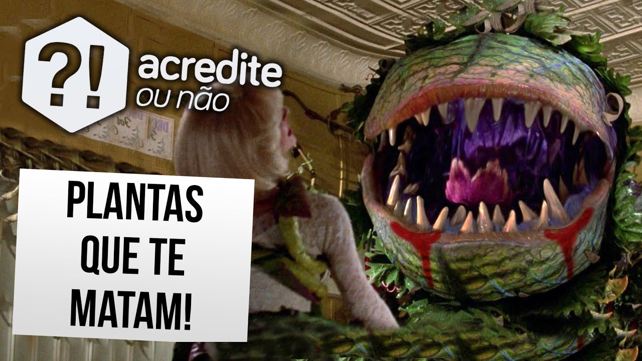 PLANTAS ASSUSTADORAS QUE VOCÊ DEVERIA TER MEDO