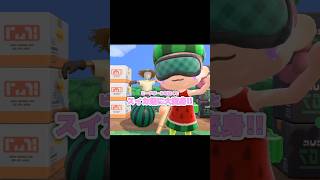 スイカ割りはじめちゃうよ～...？！？！#あつ森 #どうぶつの森 #あつまれどうぶつの森 #どう森 #shortvideo #short #shorts