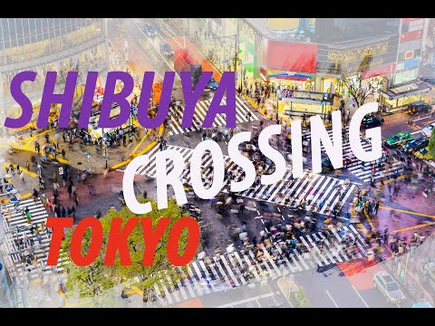 【4K】SHIBUYA CROSSING - Tokyo Drift - Let's go to the famous Shibuya Crossing in Tokyo Japan!