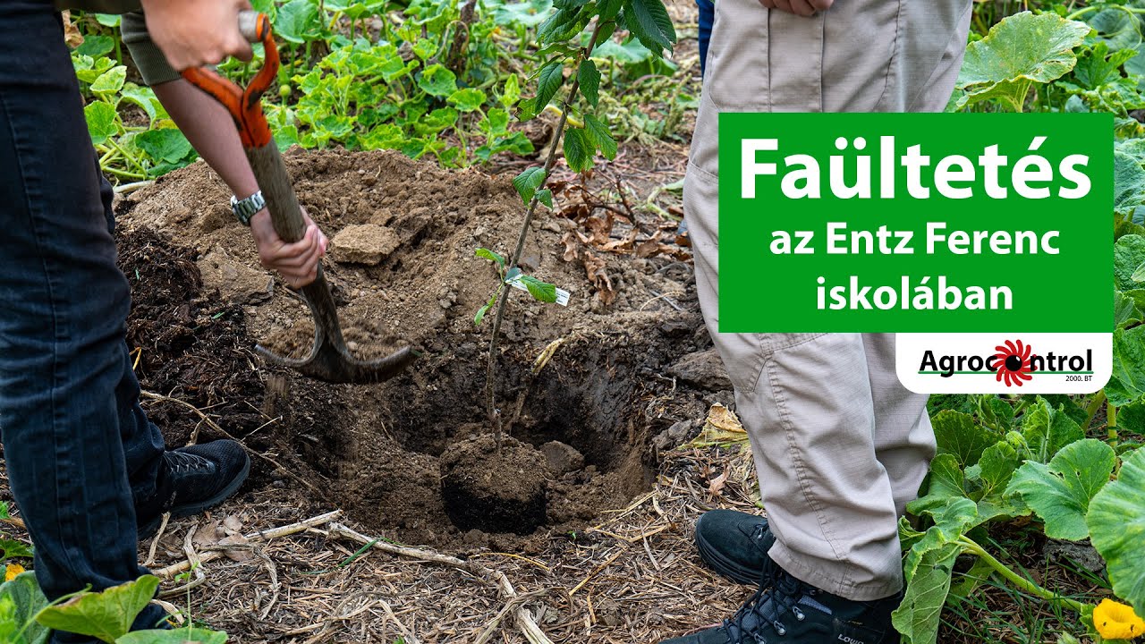 25. éves az Agrocontrol - jubileumi faültetés a Dr. Entz Ferenc Mezőgazdasági Technikumban