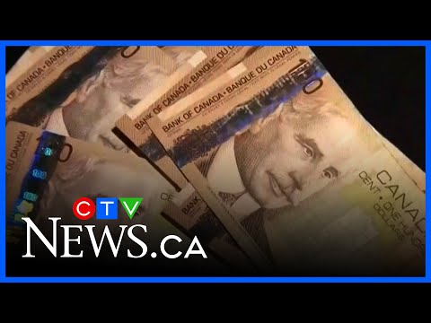 Expert Shares Tips to Spot Scams and Avoid Fraud