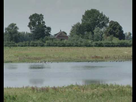 Dijkverlegging Westenholte