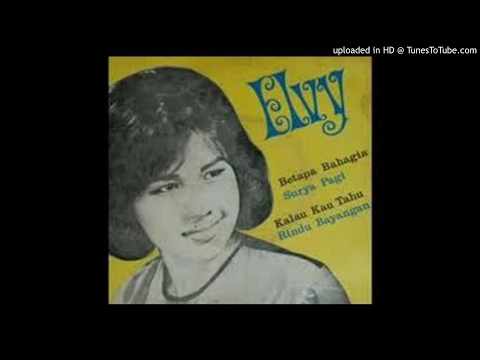 ELVY SUKAESIH - JANGAN MENGGANGGU (BAGOL_COLLECTION)