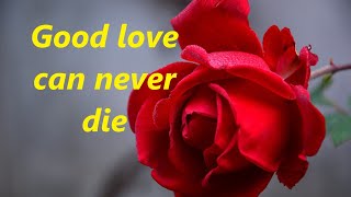 Alvin Stardust    Good love can never die (with lyrics)