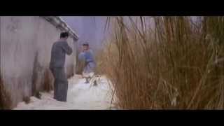 Ausmuteants - Daylight Robbery