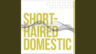 A Song in Danish in Which There is Much Discontent