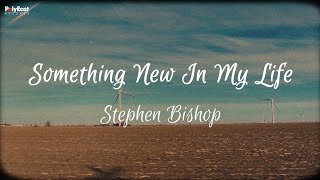 Stephen Bishop - Something New In My Life (Official Lyric Video)