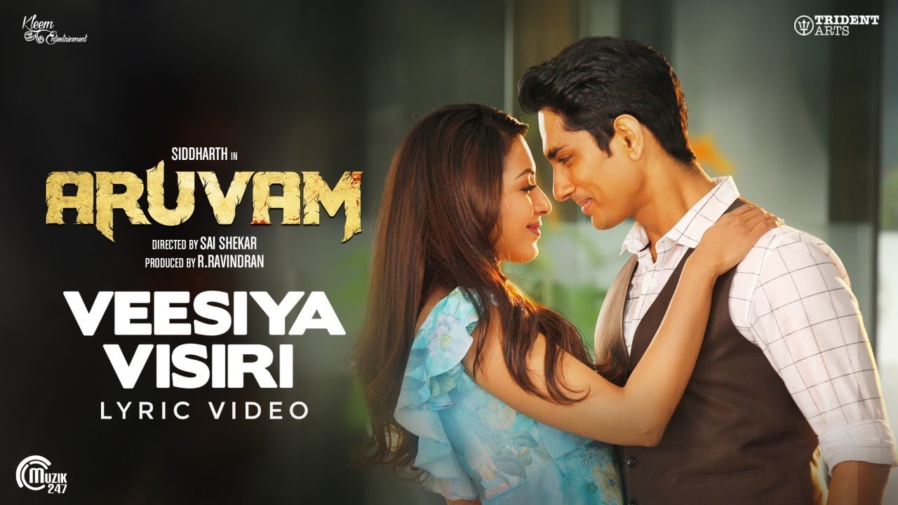 Veesiya Visiri Lyrics  | Aruvam | Catherine Tresa | Yuvan Shankar Raja | S.Thaman