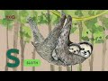 ABC Animals Song Jungle Series Learn Alphabets English And Animals For Kids