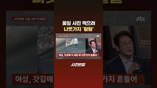 꽃잎 사진 찍으려 나뭇가지 '탈탈' #JTBC #Shorts