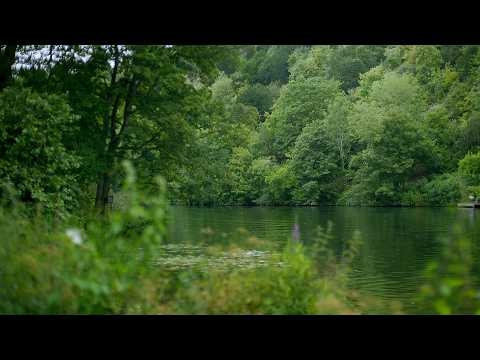Secrets of the River Thames (Wildlife & History Documentary)